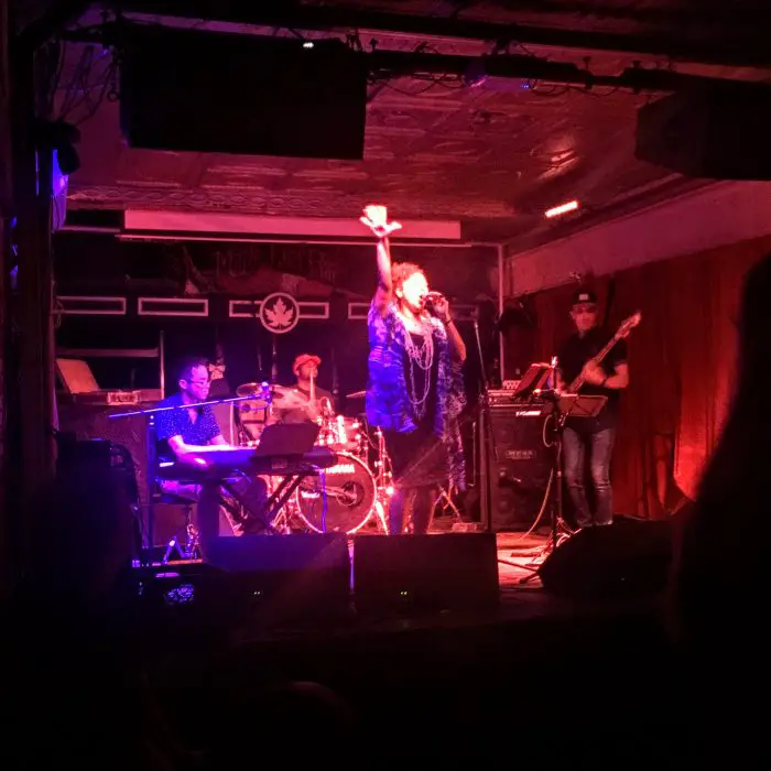 Robin Barnes at the Maple Leaf | New Orleans