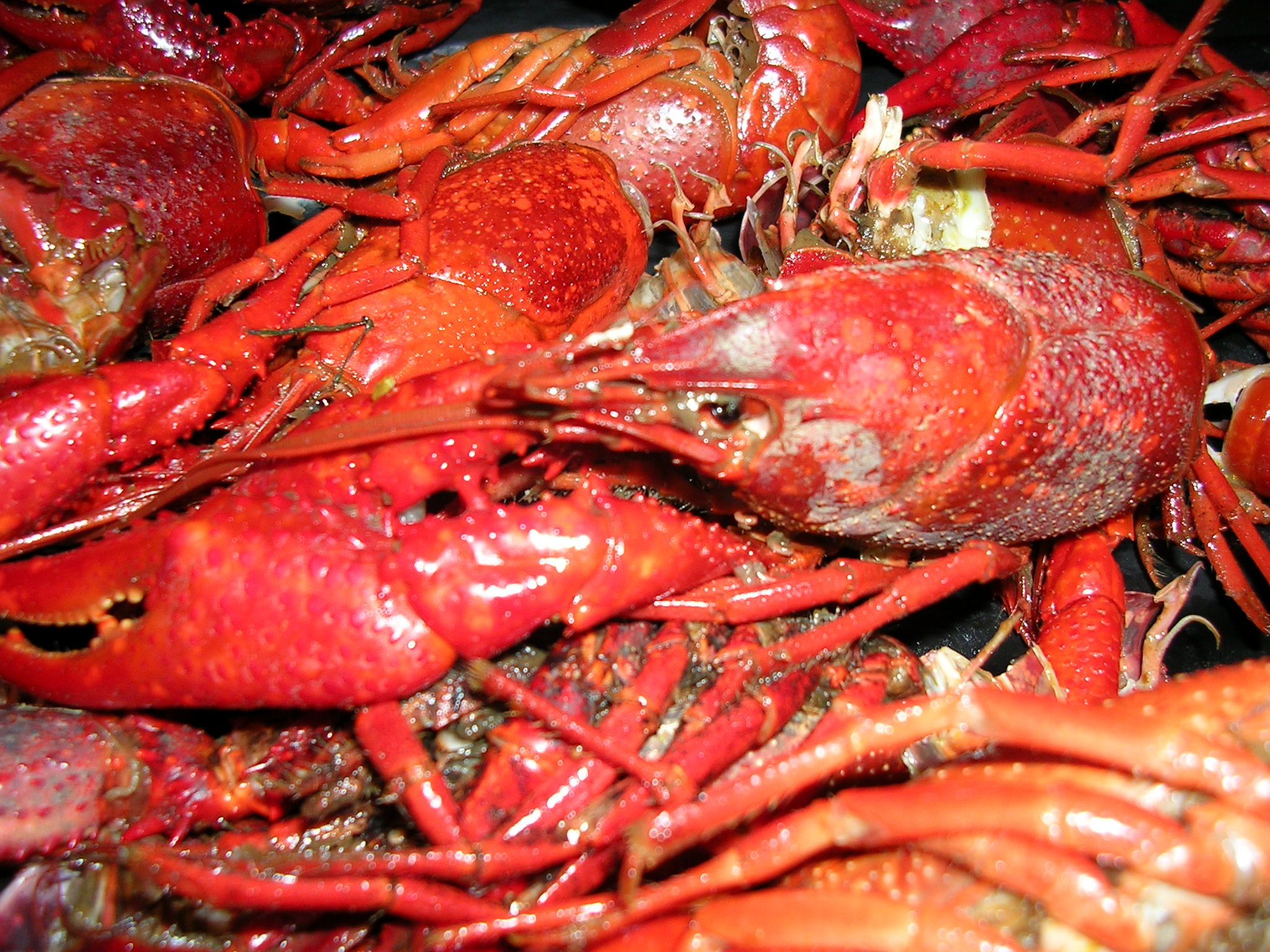 New Orleans Crawfish Boil