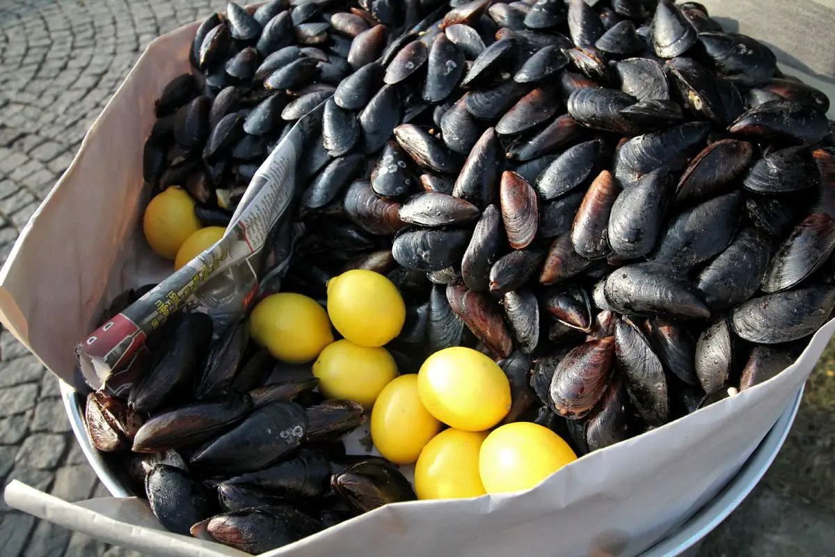 Midye Dolmasi - stuffed mussels with rice and lemon