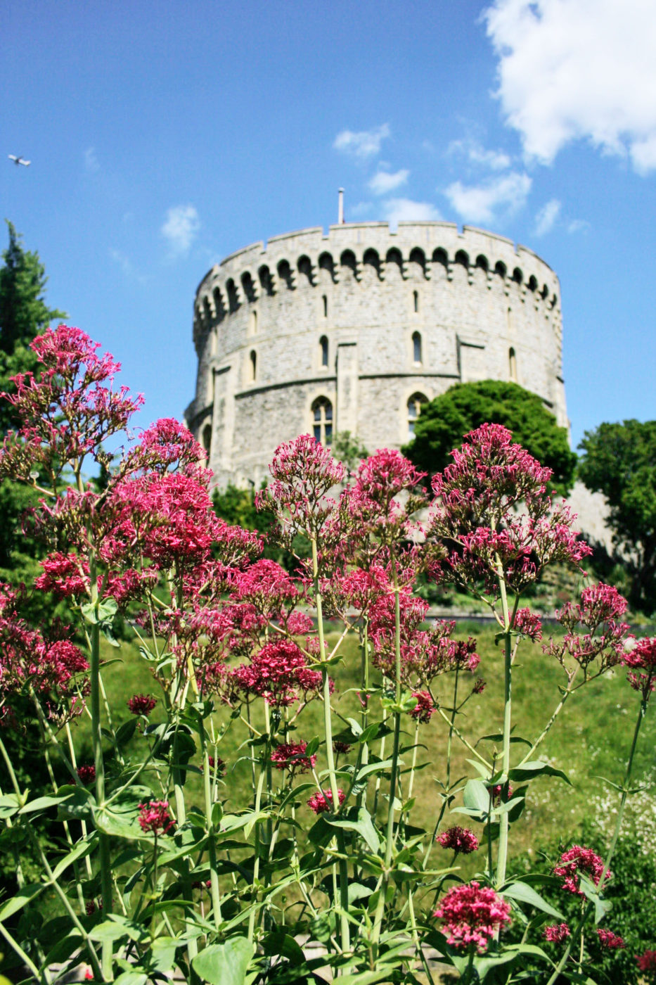 The Round Tower with flowers in bloom