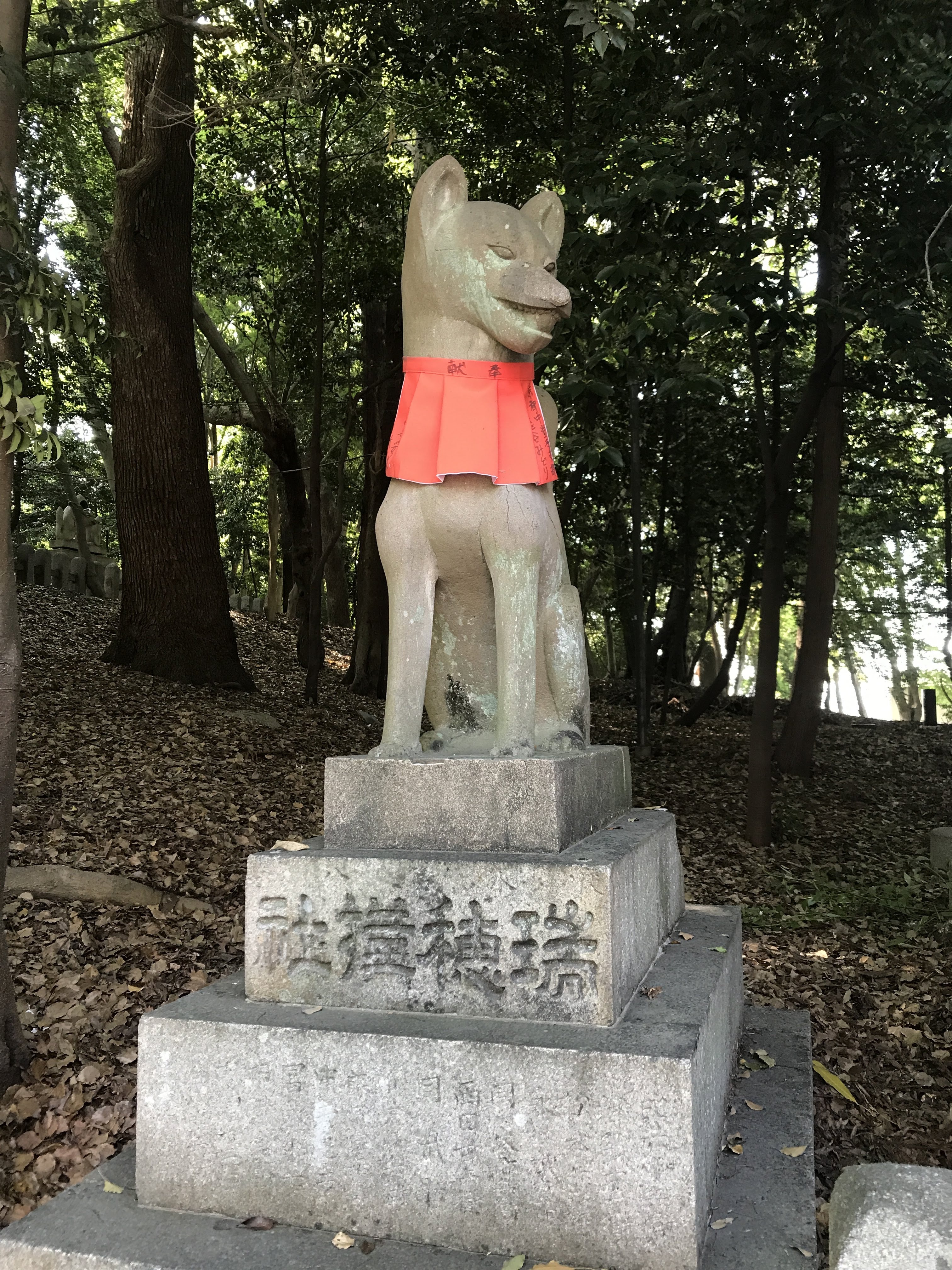 Inari messenger fox with red scarf to show devotion to Inari