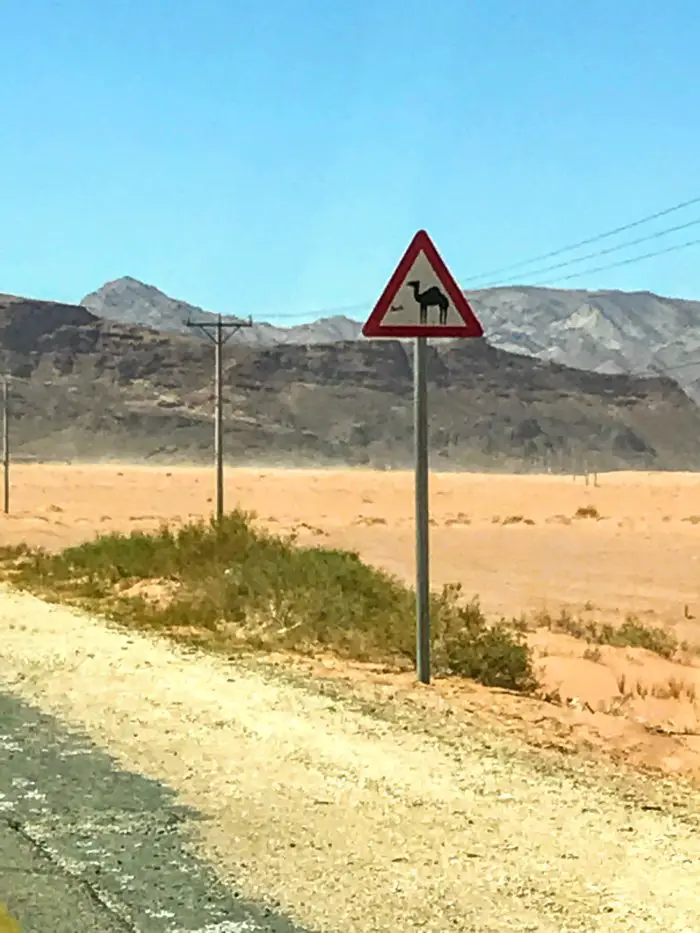 Camel crossing sign in Wadi Rum